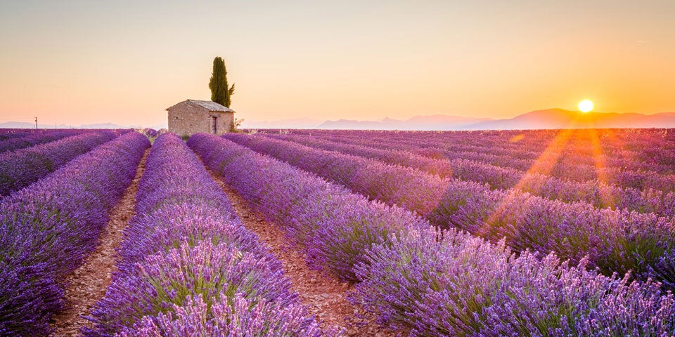 7 Reiseziele in Frankreich, die man gesehen haben sollte