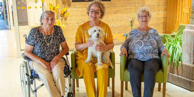 Therapie-Pudel Alaska erfreut Pflegezentrum