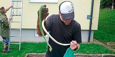 Python büxte durch Fenster aus