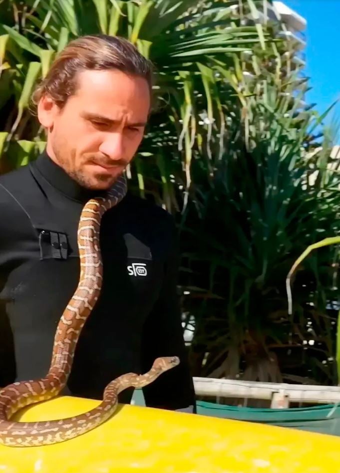 Instagram/skymonkey5