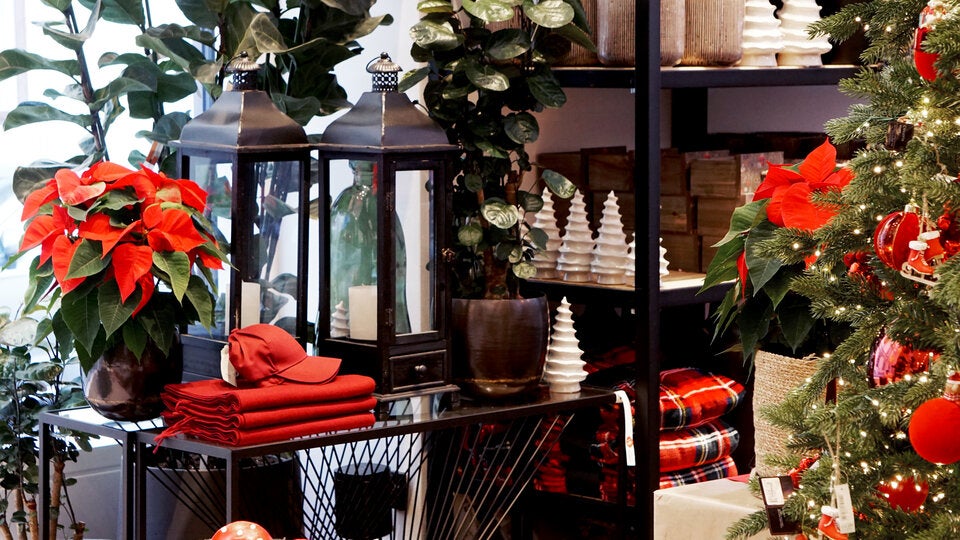 Expertin verrät: Die wichtigsten Deko-Trends für den Advent