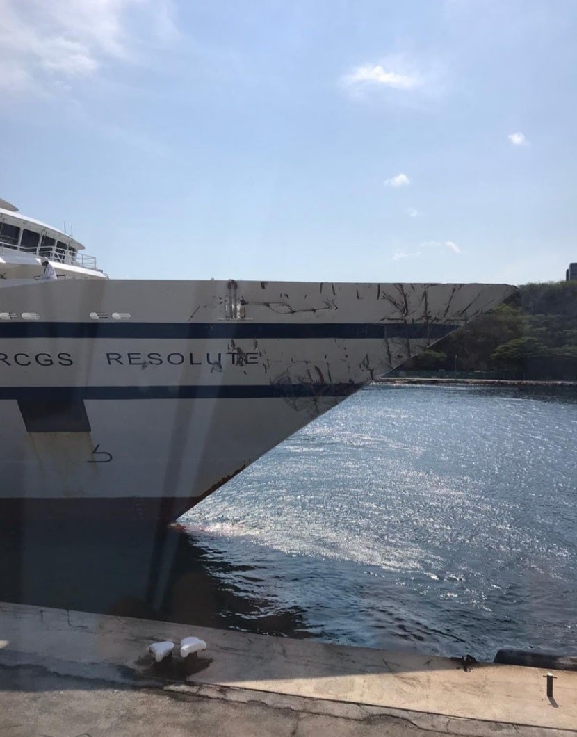 RCGS Resolute Bug Twitter