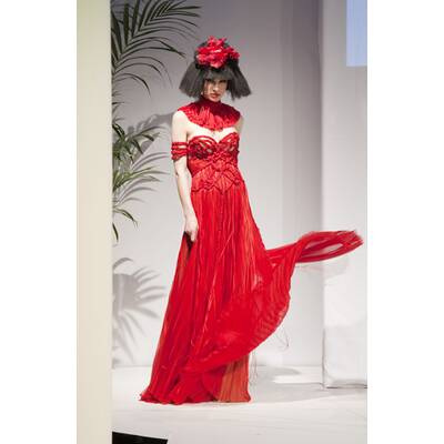 Ringstrassen-Galerien Designer Award 2011