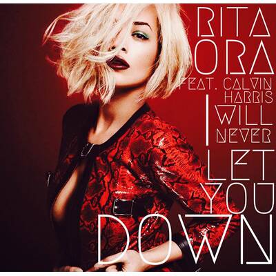 Zedd feat. Haley Williams: Stay The Night