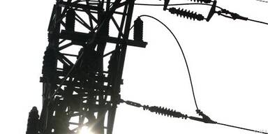 R&uuml;ckkauf f&uuml;r Haider "Gebot der Stunde"