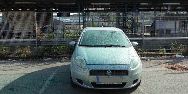 Wieder Ausschreitungen vor Rapid-Match