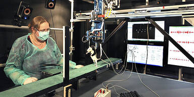 Gelähmte Ratte bewegt Beine wieder