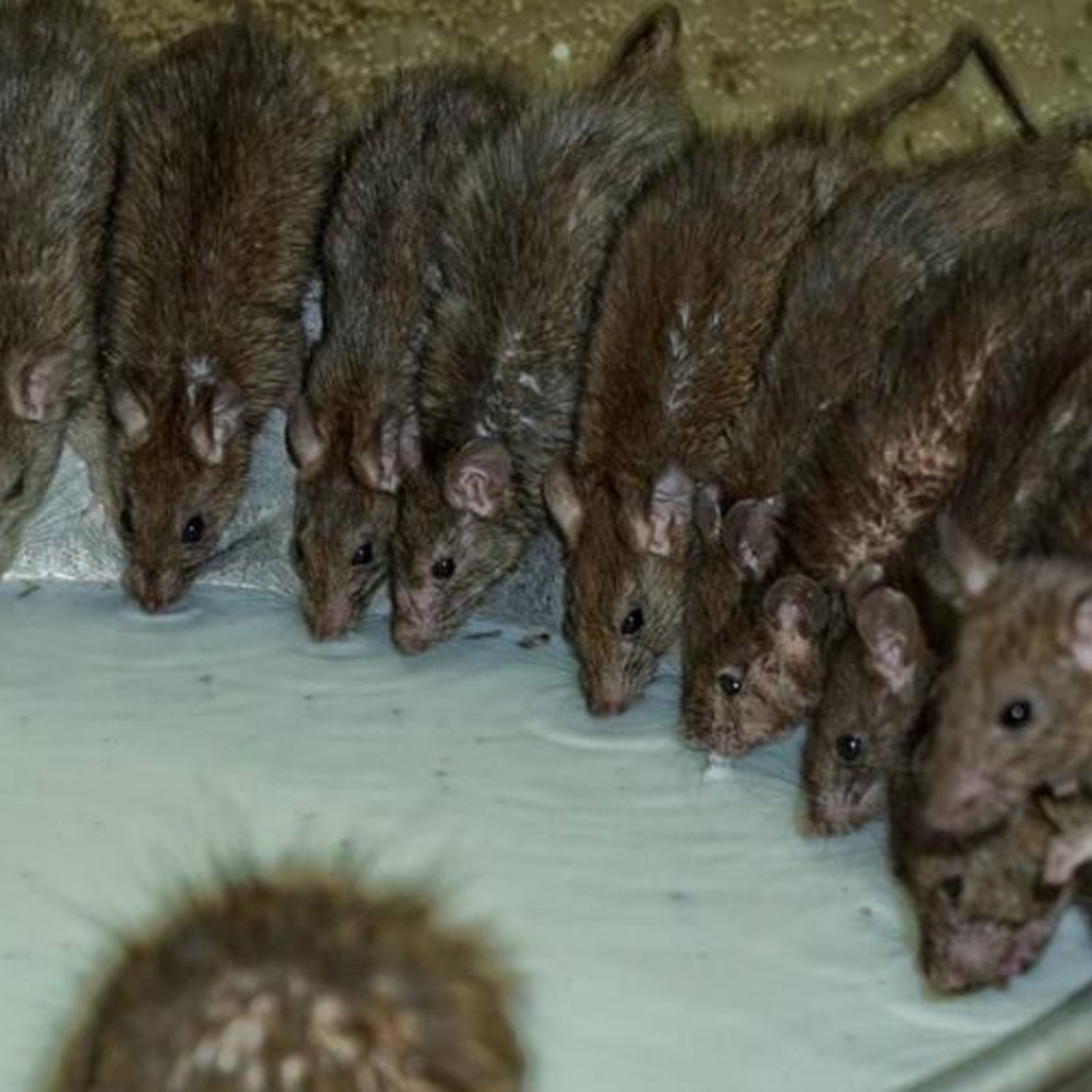 the memory of her ignited bright