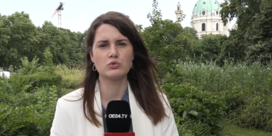 Rauch vollspalten.PNG