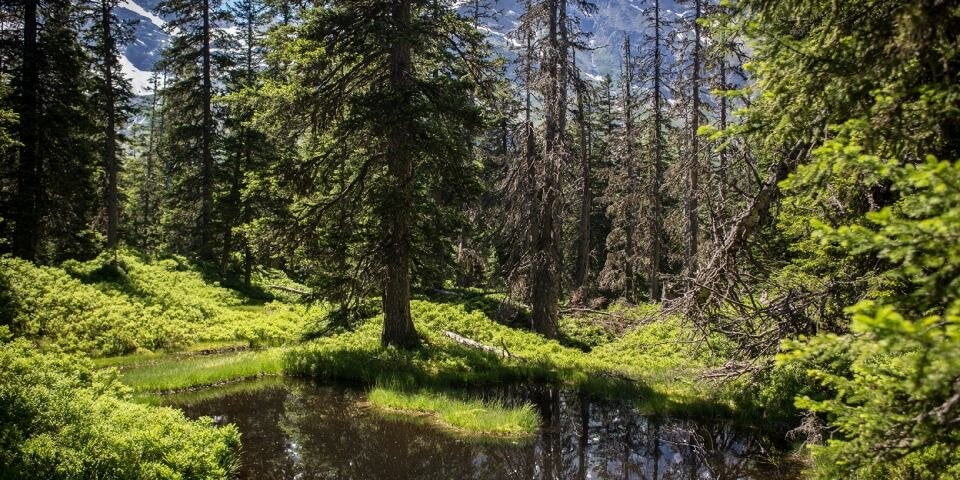 Urlaub für Körper und Geist im Salzburger Raurisertal