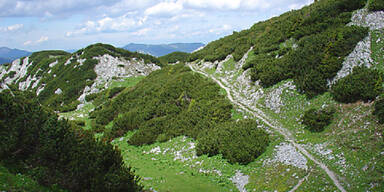 Bergf&uuml;hrer l&auml;sst 60 Menschen im Stich