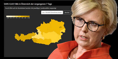 Rechnungshof prüft Corona Zahlen