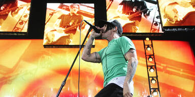 Chilischoten tragen Freund zu Grabe