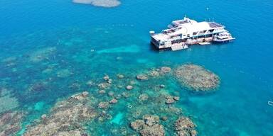 ReefMagic Ponton GreatBarrierReef