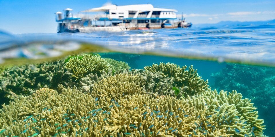 Unterwasser Riff Great Barrier Reef