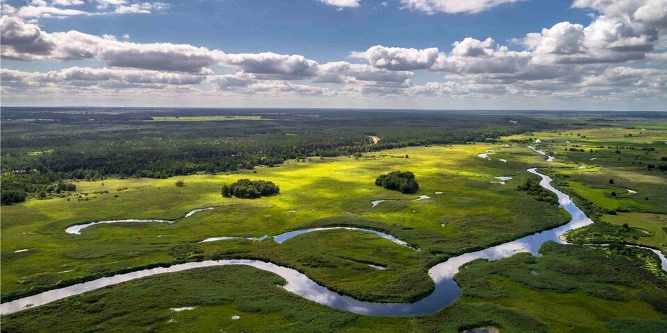 Ins andere Polen eintauchen