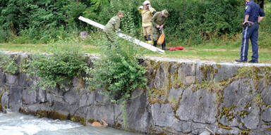 Rehbock aus den Fluten geborgen