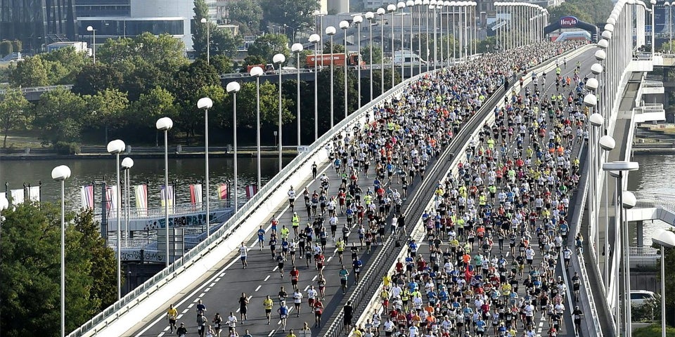 Reichsbrücke.jpg