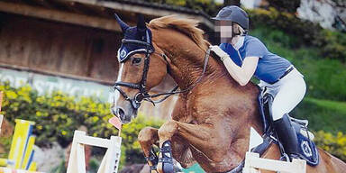 Drama bei Reit-Turnier