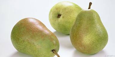 Rekord&uuml;berschreitung bei Insektiziden