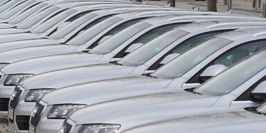 Rekordjahr 2009 profitierte von &Ouml;kopr&auml;mie