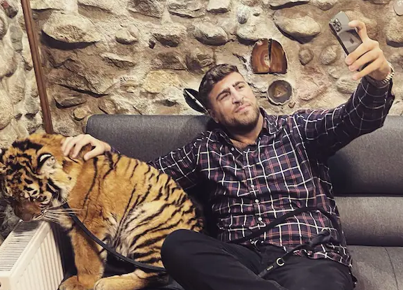 Gehört die Berliner Löwin dem Remmo-Clan?