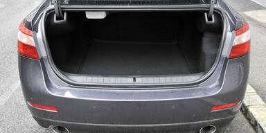 Renaults Flaggschiff Latitude im Test