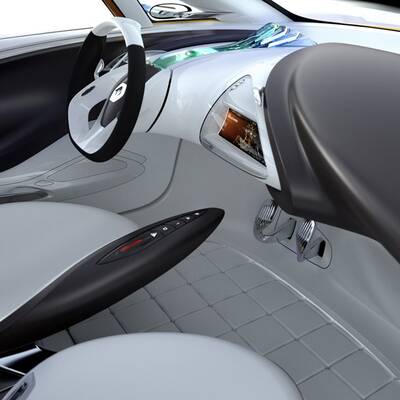 Französische Zukunft