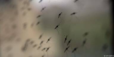 Resistenz gegen Artemisininen fr&uuml;her als erwartet