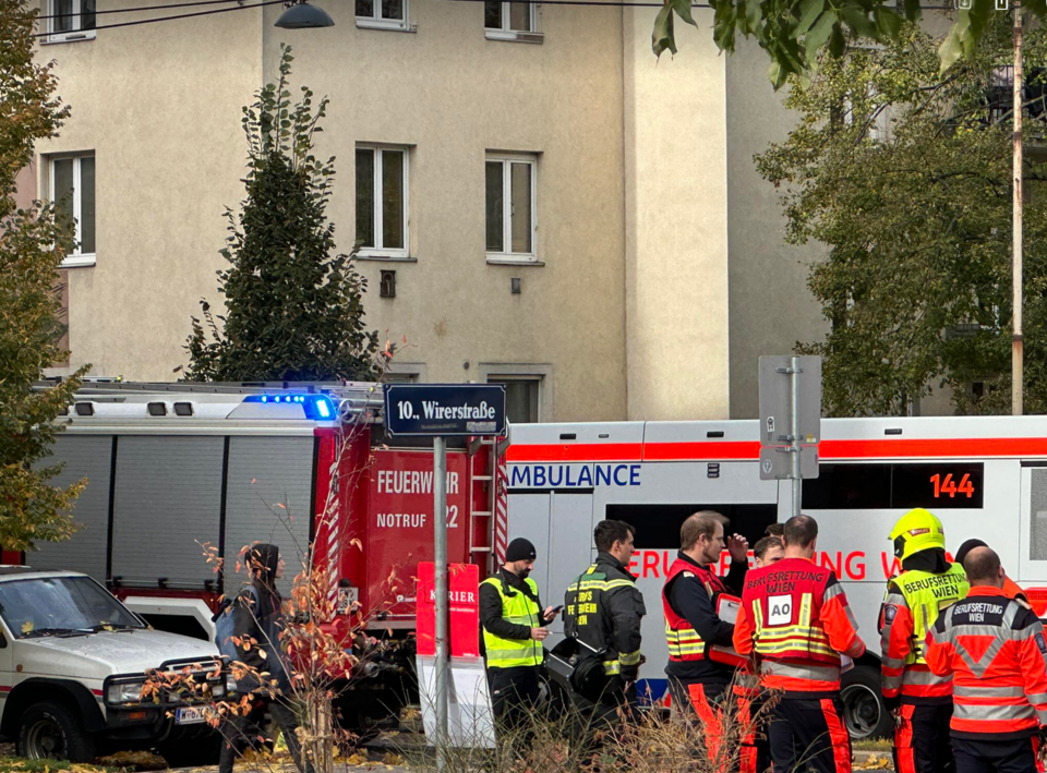 Vinjana Manset Haber