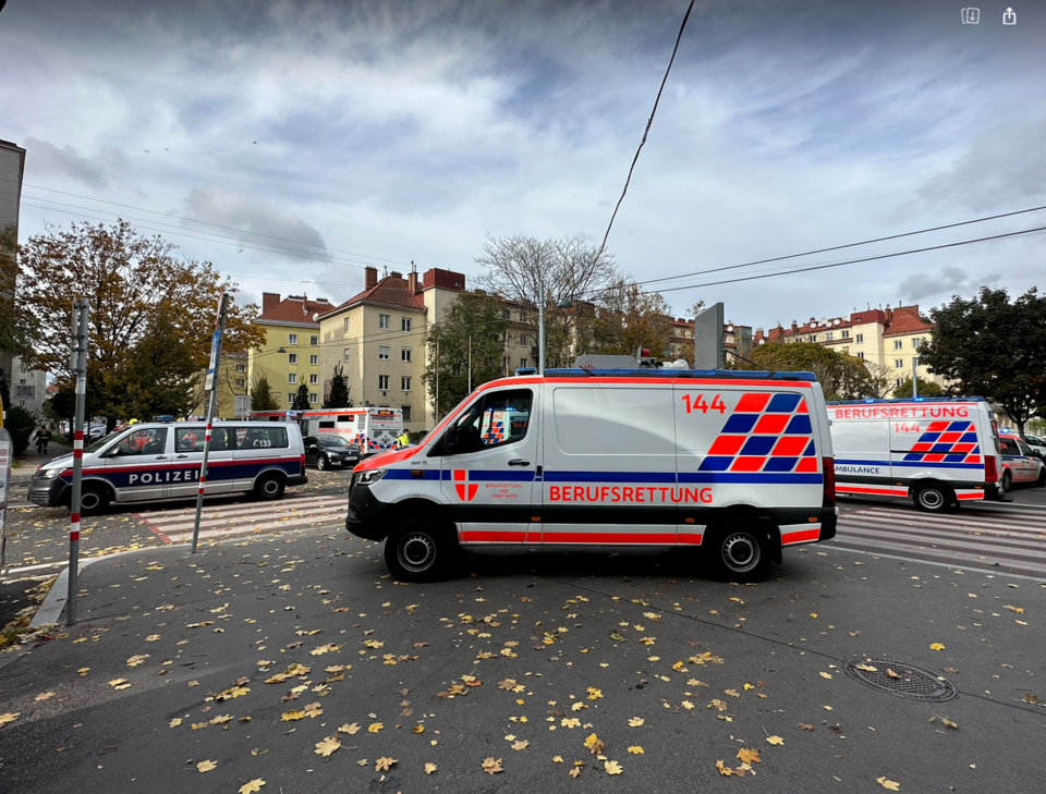 Vinjana Manset Haber