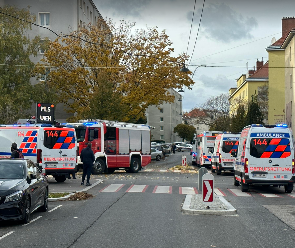 Vinjana Manset Haber