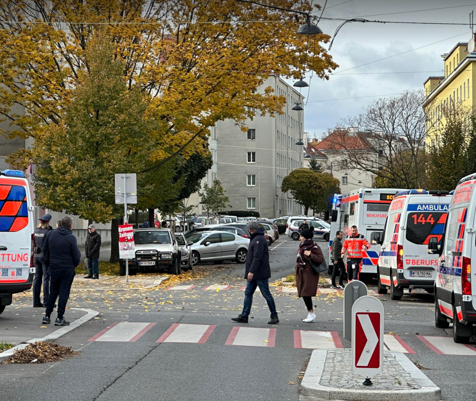 Vinjana Manset Haber