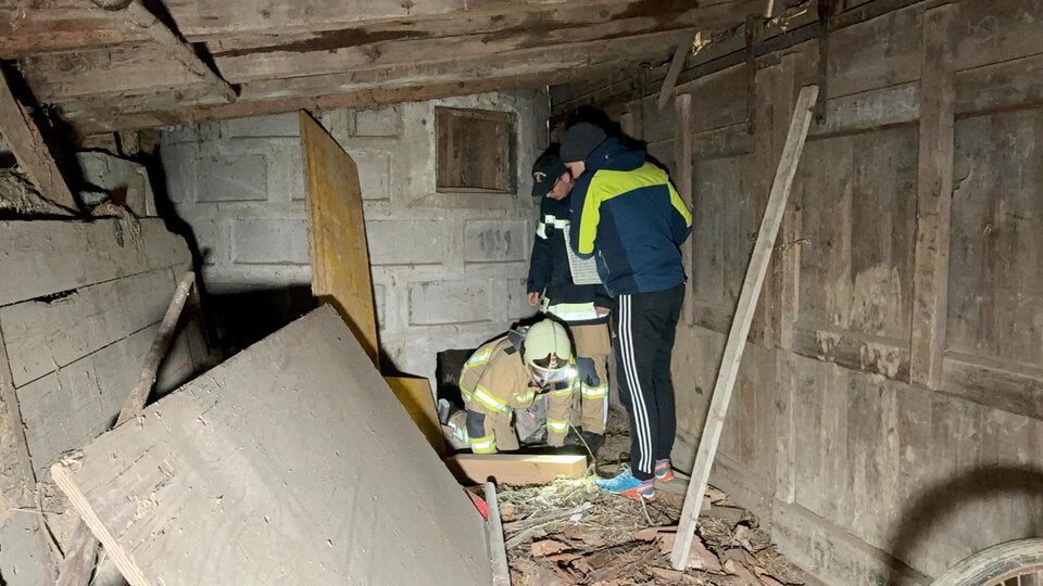 Seit Tagen verschwunden: Kater aus Siloschacht gerettet