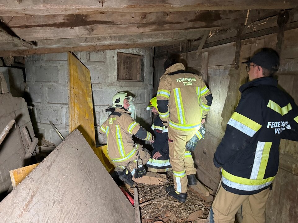 Seit Tagen verschwunden: Kater aus Siloschacht gerettet