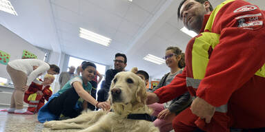 Rettungshunde sollen Kindern Angst nehmen