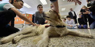 Rettungshunde sollen Kindern Angst nehmen