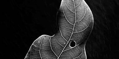 Bestes Foto 2007 kommt aus Afghanistan