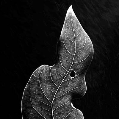 Die besten Bilder aus 2007