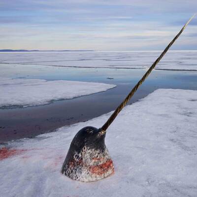 Die besten Bilder aus 2007