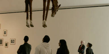 Wieso hängt hier ein Pferd vom Plafond?