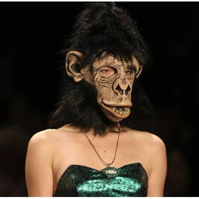 Die Fotos des Jahres 2008