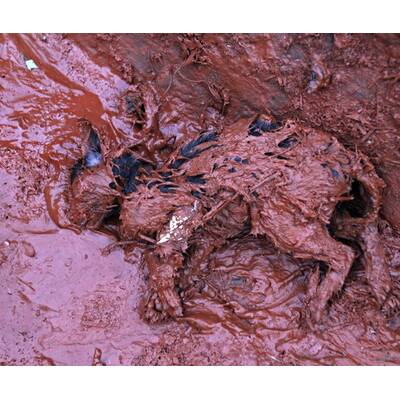 Schwerer Chemie-Unfall in Ungarn