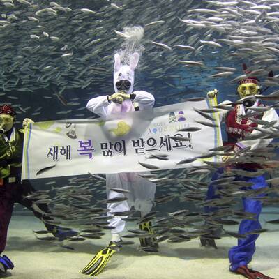 So feiert die Welt Silvester