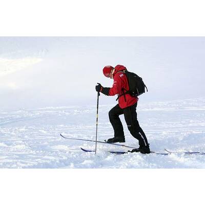 Prinz Harry in der Arktis