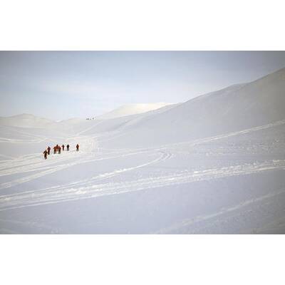 Prinz Harry in der Arktis