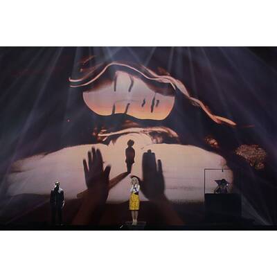 Das ist Nadine's Konkurrenz