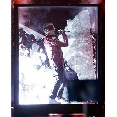 Song Contest: Nadine Beiler im Halbfinale