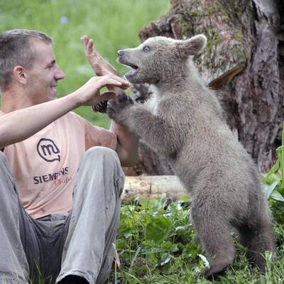 Der zugelaufene Braunbär Lucky