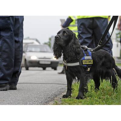 Dänemark: Kontrollen an Grenze zu Deutschland
